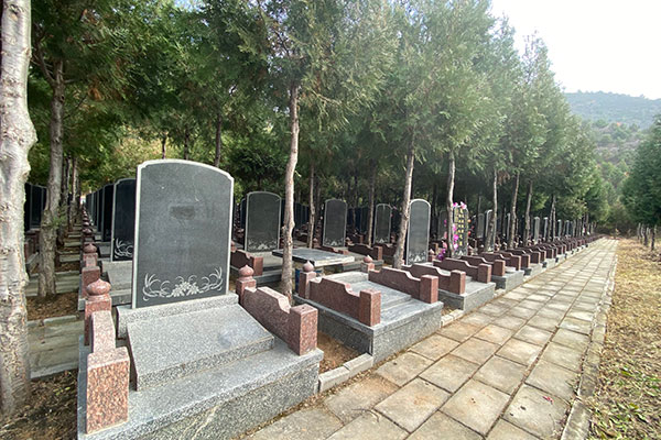  九龙山生态陵园价格便宜吗？地址电话能说下吗？